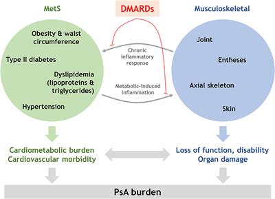 Psoriatic Arthritis and Metabolic Syndrome: Is There a Role for Disease Modifying Anti-Rheumatic Drugs?